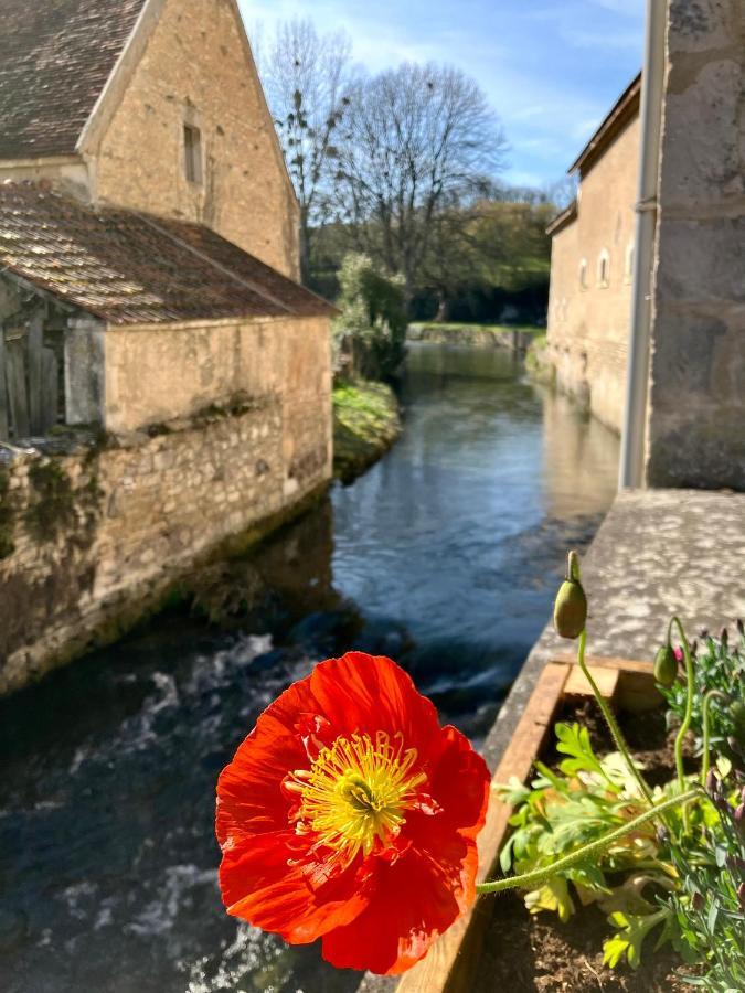 Bed and Breakfast La Treille Muscate Tannay  Exterior foto